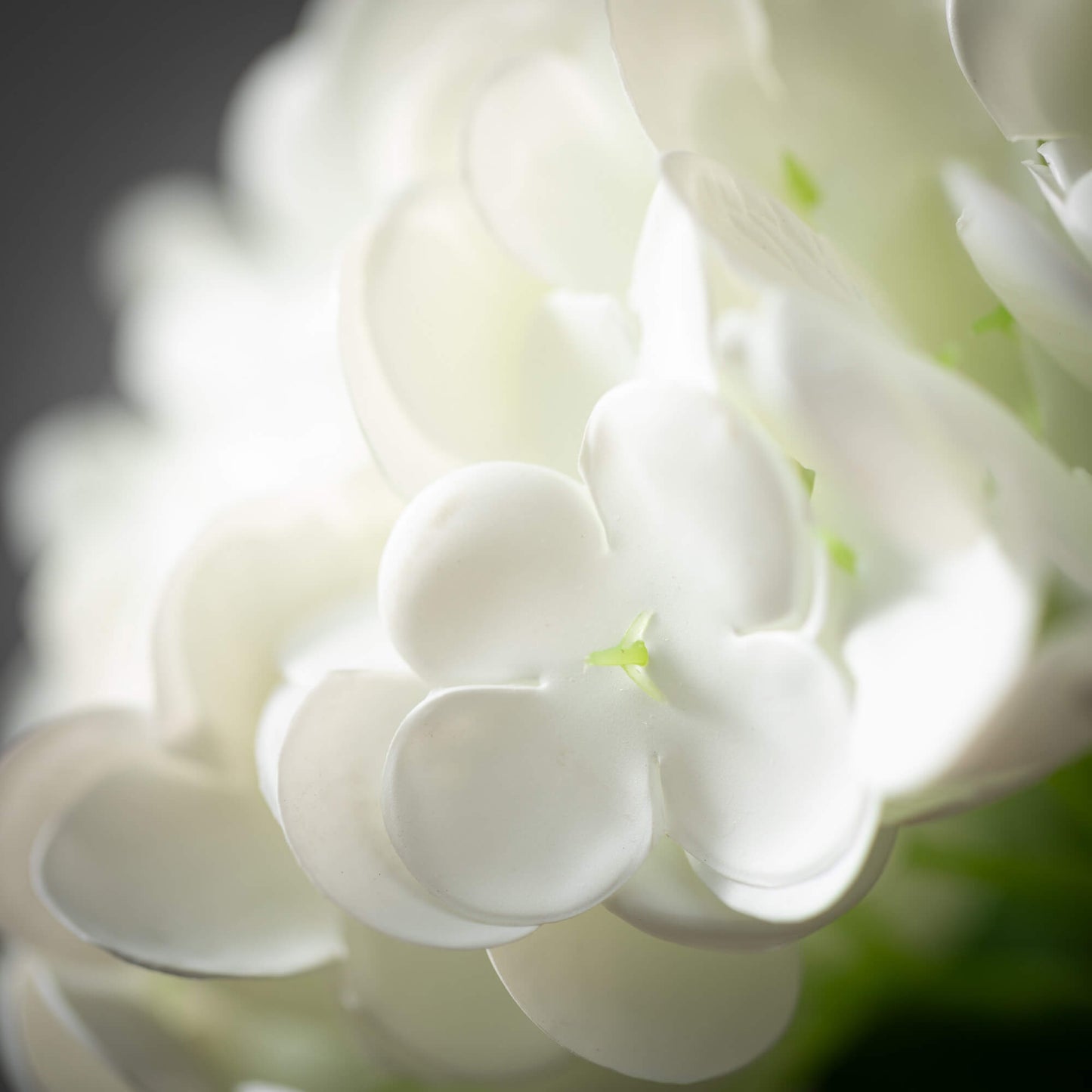 Freshcut® White Hydrangea Spray
